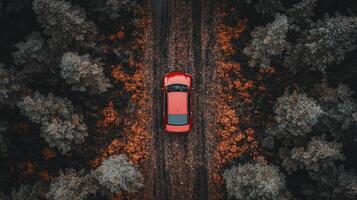 An aerial view of a red car driving through a forest photo