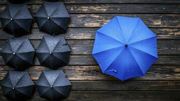 A blue umbrella is in the middle of a row of black umbrellas photo