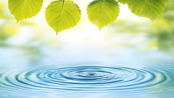 Fresh leaves over water ripples photo
