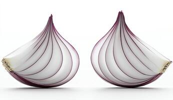 Two Red Onion Slices photo