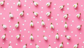 Pretty, white flowers on a pink polka dot background photo