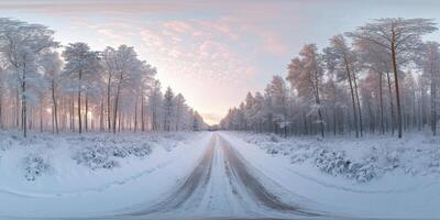 A road in the middle of a snowy forest photo