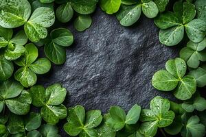Frame of Fresh Green Clover Leaves on Dark Slate Texture - Nature Background for St. Patrick's Day photo