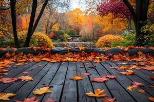 Tranquil Autumn Park with Colorful Foliage Perfect for Nature-Themed Designs photo