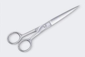 This object displays a pair of stainless steel scissors with sharp, precise blades. photo