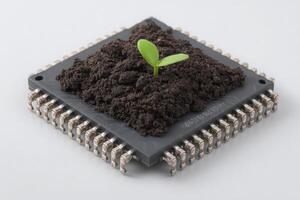 A seedling emerges from soil placed on a circuit board, symbolizing the intersection of technology and nature. The image highlights creativity and the potential for sustainable innovation. photo