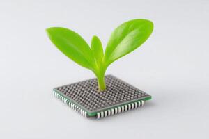 A small green plant with two leaves is growing from a computer chip, representing the connection between nature and technology. The contrasting elements highlight innovation and sustainability. photo
