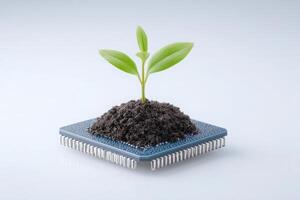 A small green plant emerges from soil placed atop a microchip, symbolizing the blend of technology and nature. This thought-provoking representation highlights innovation and growth. photo