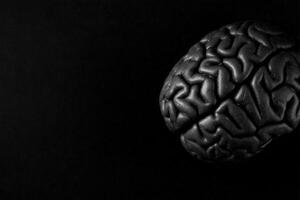 A black brain model is displayed against a dark backdrop, emphasizing intricate patterns and textures. photo