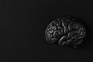 A detailed representation of a brain model rests on a black surface, emphasizing its complex structure and anatomy. photo
