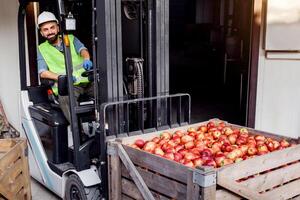 Forklift driver in warehouse, loading fruit. Cheerful man in helmet and uniform in forklift truck lifts up wooden container full of red ripe apples, indoor, on storage background, copy space photo