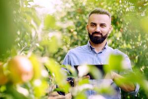 Orchard management, seasonal work and crop control on organic farm. Friendly smiling bearded millennial guy with tablet on plantation with green trees and red apples in eco garden, copy space photo