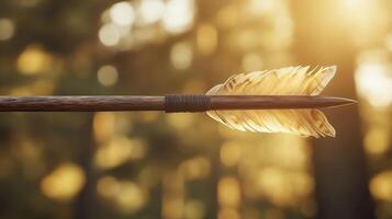 Wooden arrow with feathered tip against a blurred forest backdrop. photo