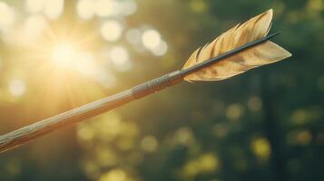 A wooden arrow with feathered fletching points towards the sunlit forest. photo