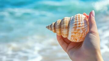 Seashell held in a hand by the ocean. photo