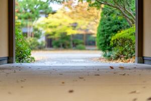 Autumnal Garden Pathway Entrance A Peaceful Fall Scene photo