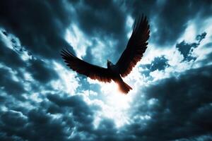 A Majestic Bird Soaring Through a Stormy Sky photo
