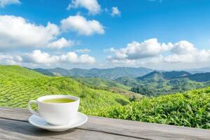 Serene Green Tea Moment amidst Lush Tea Plantation Landscapes photo