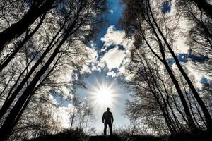 Awe Inspiring Sunlit Forest Scene with a Man photo