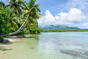 Tropical Island Paradise Serene Beach Scenery photo