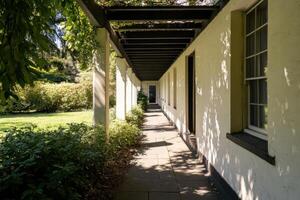 Serene Garden Path Underneath a Covered Walkway, Sunlight Filtering Through the Trees photo
