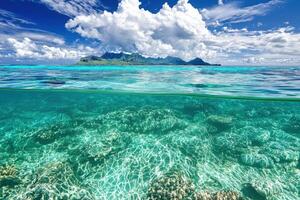 Stunning Tropical Island Paradise Crystal Clear Waters and Vibrant Coral Reefs photo