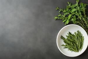 Fresh Rosemary and Herbs on Dark Background photo