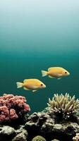 Two Yellow Fish Swimming in a Vibrant Coral Reef. Discover the beauty of underwater marine life in this stunning ocean scene. Explore the vibrant colors and diverse ecosystem of a tropical reef. photo