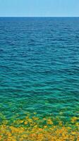 Vibrant Seascape A Stunning Abstract of Ocean Colors. Shades of blue, green, and yellow create a tranquil and serene underwater scene. Perfect for nature lovers and art enthusiasts. photo