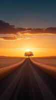 Golden Sunset Over a Country Road Through Fields photo
