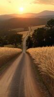 Golden Sunset Path Through Fields and Mountains A Scenic Rural Landscape photo