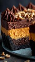 A Decadent Chocolate Peanut Butter Cake Slice Layers of Richness and Indulgence. Exquisitely Detailed Photography of a Deliciously Crafted Cake. A Visual Symphony of Flavors and Textures. photo