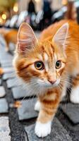 A Ginger Cat's Gaze in the Urban Landscape. A Portrait of a Curious Kitten on a City Street. Urban Exploration Through a Pet's Eyes. photo
