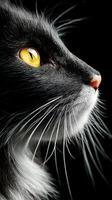 Intriguing of a Black and White Cat's Face, Highlighting the Detail of Fur, Eye, and Whiskers. A Stunning Portrait Capturing the Essence of a Feline Subject. photo