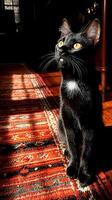 Willian atuxedocatfurisalmostcompletelyblackexceptcb c a ed c a cb dc topaz enhance w creative digital vibrant composition modern design for stock photo