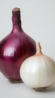 of a Red and White Onion Duo A Culinary Composition of Freshness and Flavor photo