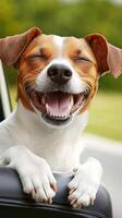 Joyful Jack Russell Terrier A Happy Dog's infectious smile. This adorable pet radiates pure joy and playful energy. A heartwarming image capturing the happiness of a canine companion. photo