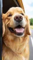 A dog is sticking his head out of a car window photo