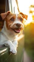 A dog sticking its head out of the window of a car photo