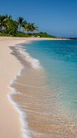 A sandy beach with water and palm trees photo
