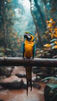 A colorful parrot sitting on a branch in the jungle photo