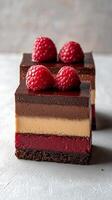 Decadent Layered Chocolate Raspberry Cake A Culinary Masterpiece. Indulge in this exquisite dessert, featuring layers of rich choc photo