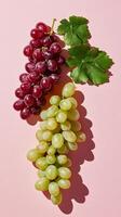 A captivating shot showcasing bunches of ripe red and green grapes, elegantly arranged against a soft pink backdrop. The images v photo