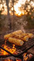 Grilled Corn on the Cob at Sunset A Delicious Summer BBQ Treat. Enjoy this mouthwatering image of perfectly grilled corn, smoky an photo