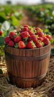 A rustic wooden barrel brimming with freshly picked strawberries, bathed in sunlight. This vibrant image captures the essence of s photo