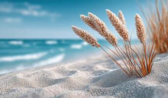 Serene Beach Landscape Coastal Grass, Ocean Waves, and Sandy Shores. A tranquil summer seascape, evoking peace and relaxation. Per photo