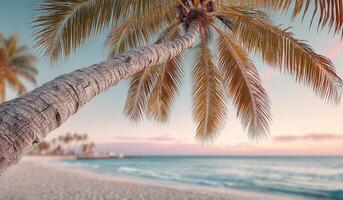 Serene Sunset on Tropical Beach Palm Tree Silhouette Against Vibrant Sky. Escape to Paradise. Vacation, Holiday, Relaxation photo