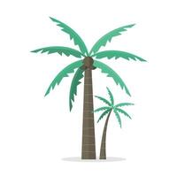 Palm trees icon with coconuts on white background. Tropical trees. vector