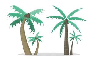 Palm tree icons with coconuts on white background. Tropical trees. vector