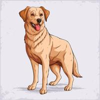 Hand drawn Scottish dog breed golden Retriever standing, medium sized gentle and affectionate companion and working dog vector